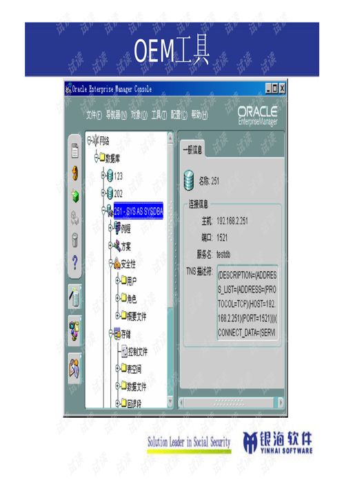 Oracle數(shù)據(jù)庫管理與開發(fā) 構(gòu)建企業(yè)數(shù)據(jù)核心的基石